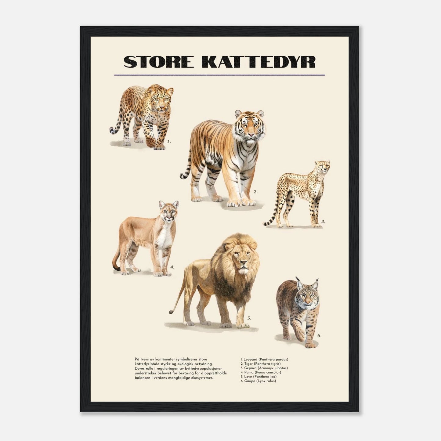 d2581d03-2ed4-4c40-a6f0-570c499cc50b