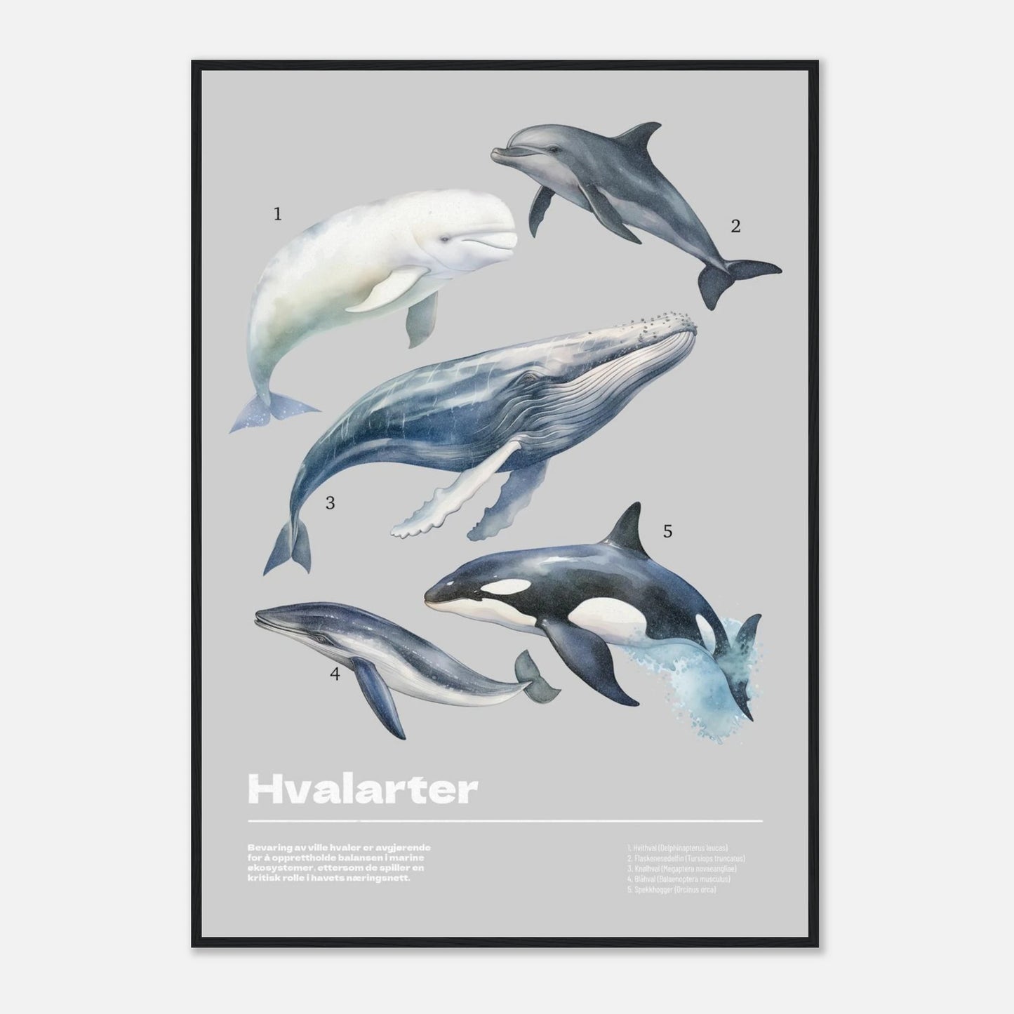 d36a1499-c80a-4411-968a-47c1c19d6944