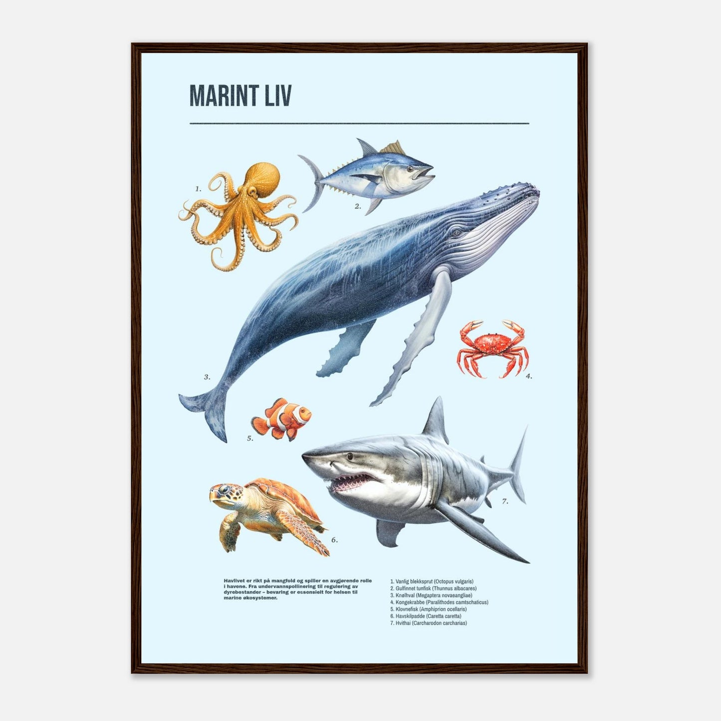 d451b1b9-84df-41d5-8a42-7a0b2040f013