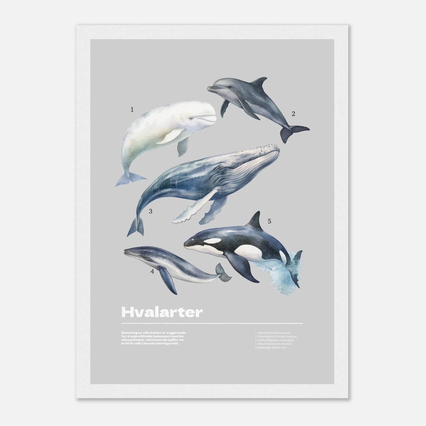 d902bdfa-c455-4771-baec-cad31efa47a9