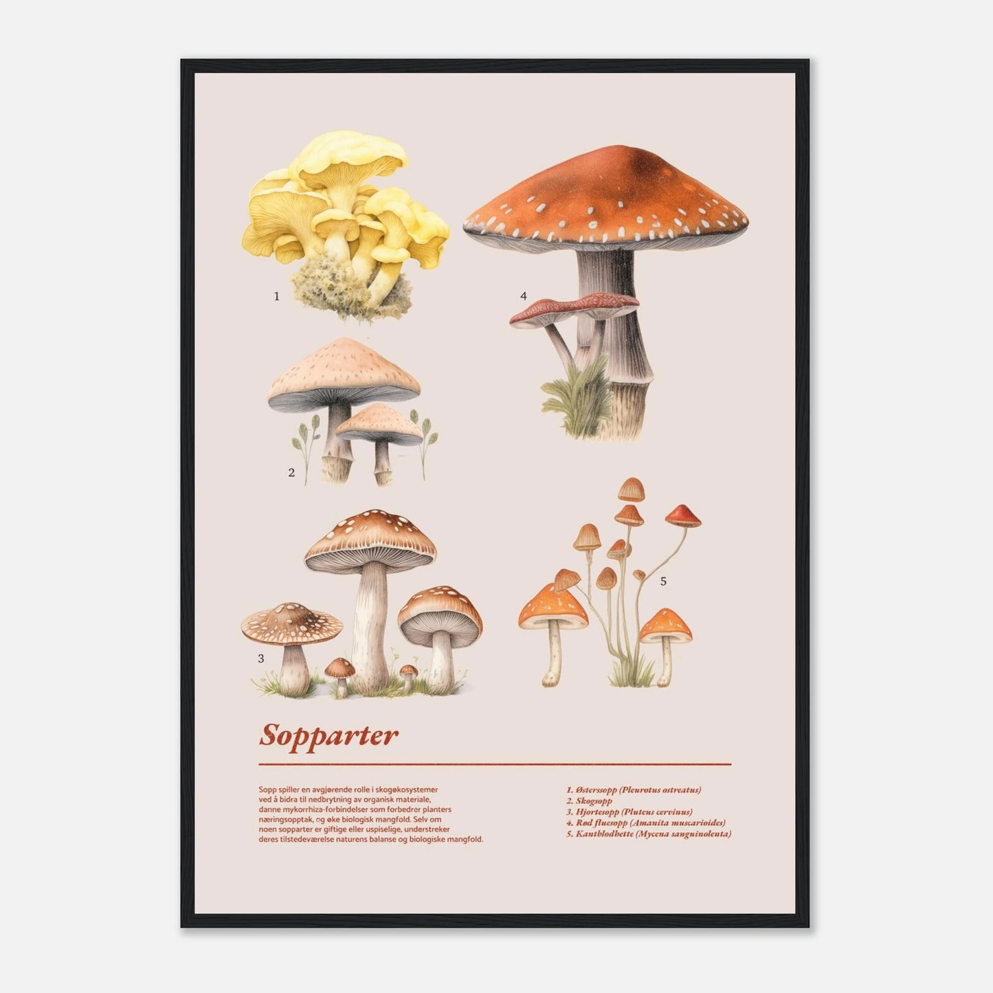 dabc981c-8bcb-49c0-8c75-dafbb9599cbc