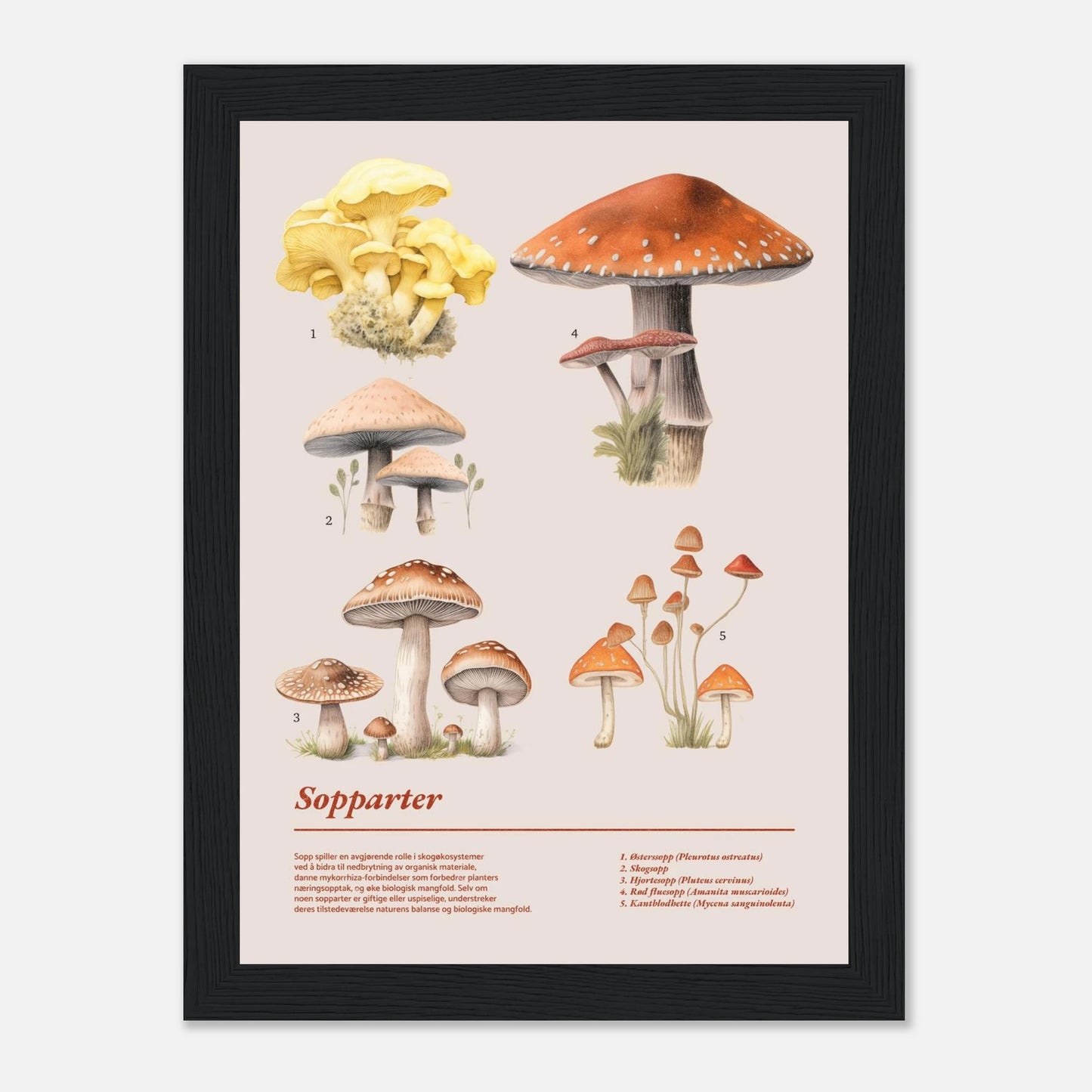 dc1e467a-a8d6-41fb-9572-ff32ce2816e2