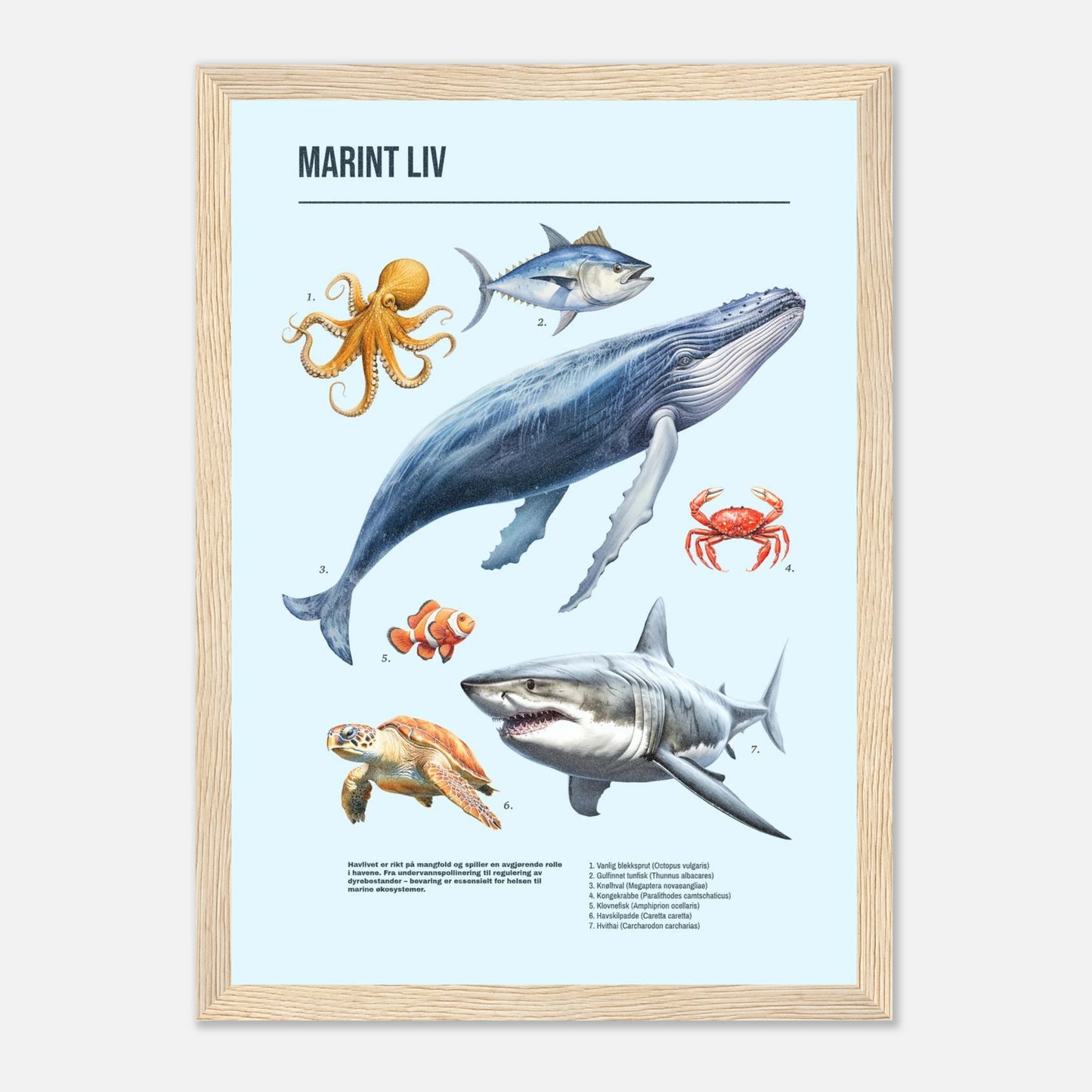 e3b7a7e3-c839-41e4-8693-e193c4d64b82