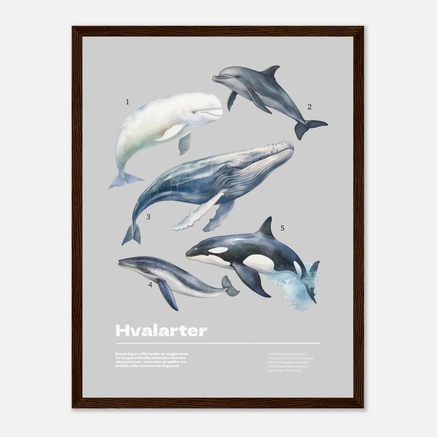 e556d5cc-cc21-44e8-b754-f031f8ac5c15