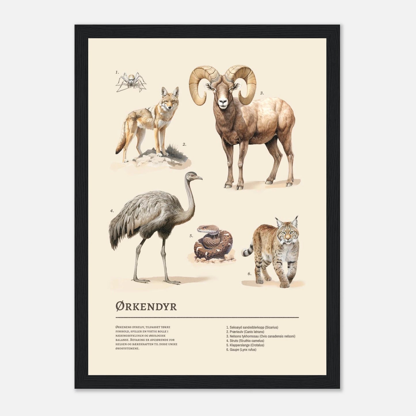 ec08297a-f4c2-48d5-ad66-a1ffddf3e0f5