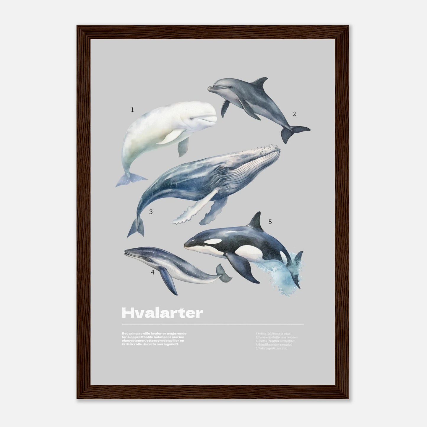 ede1dcbf-eac0-43d7-87de-77a0fda6e1d7