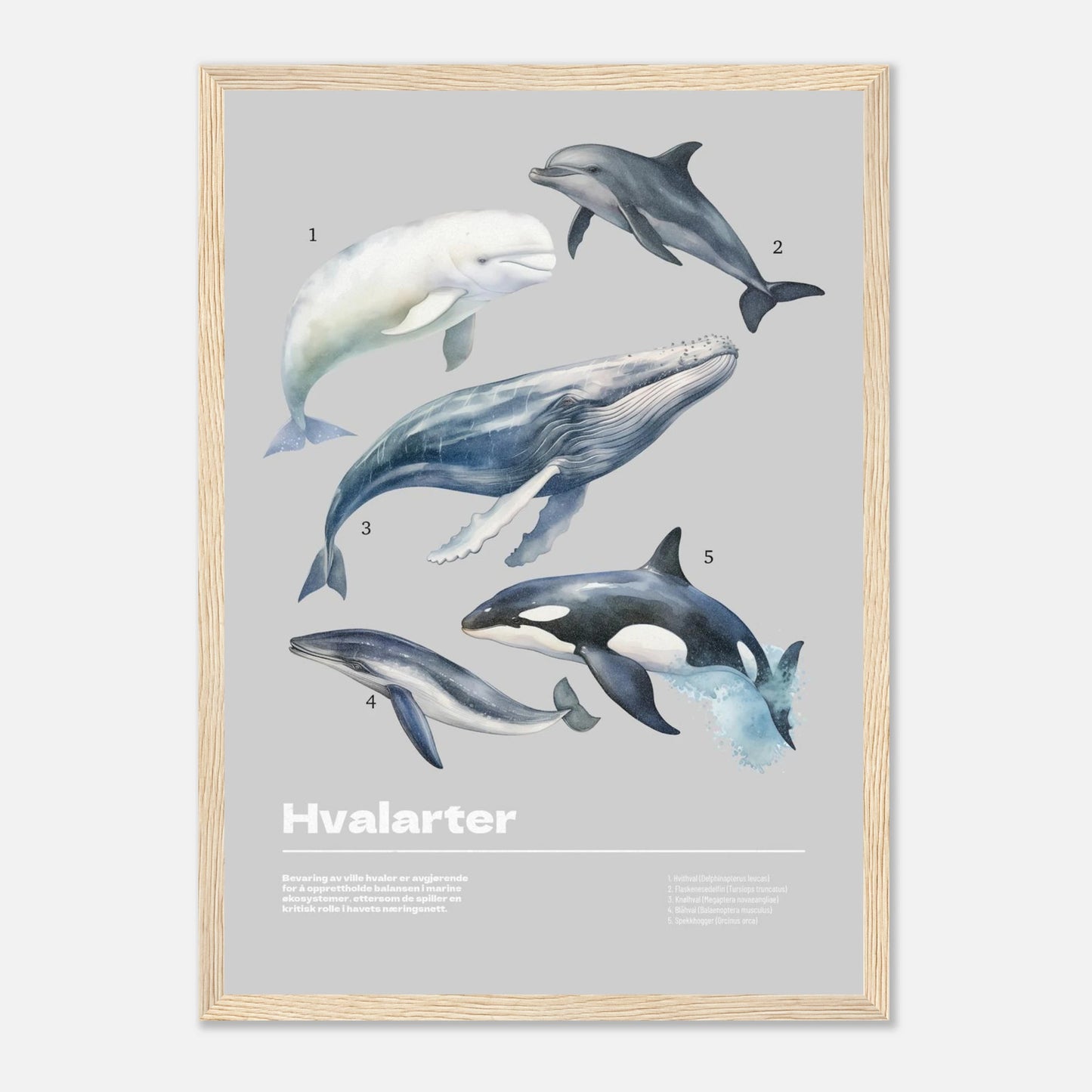 f0256628-a6c8-404f-932a-3e333efe330b