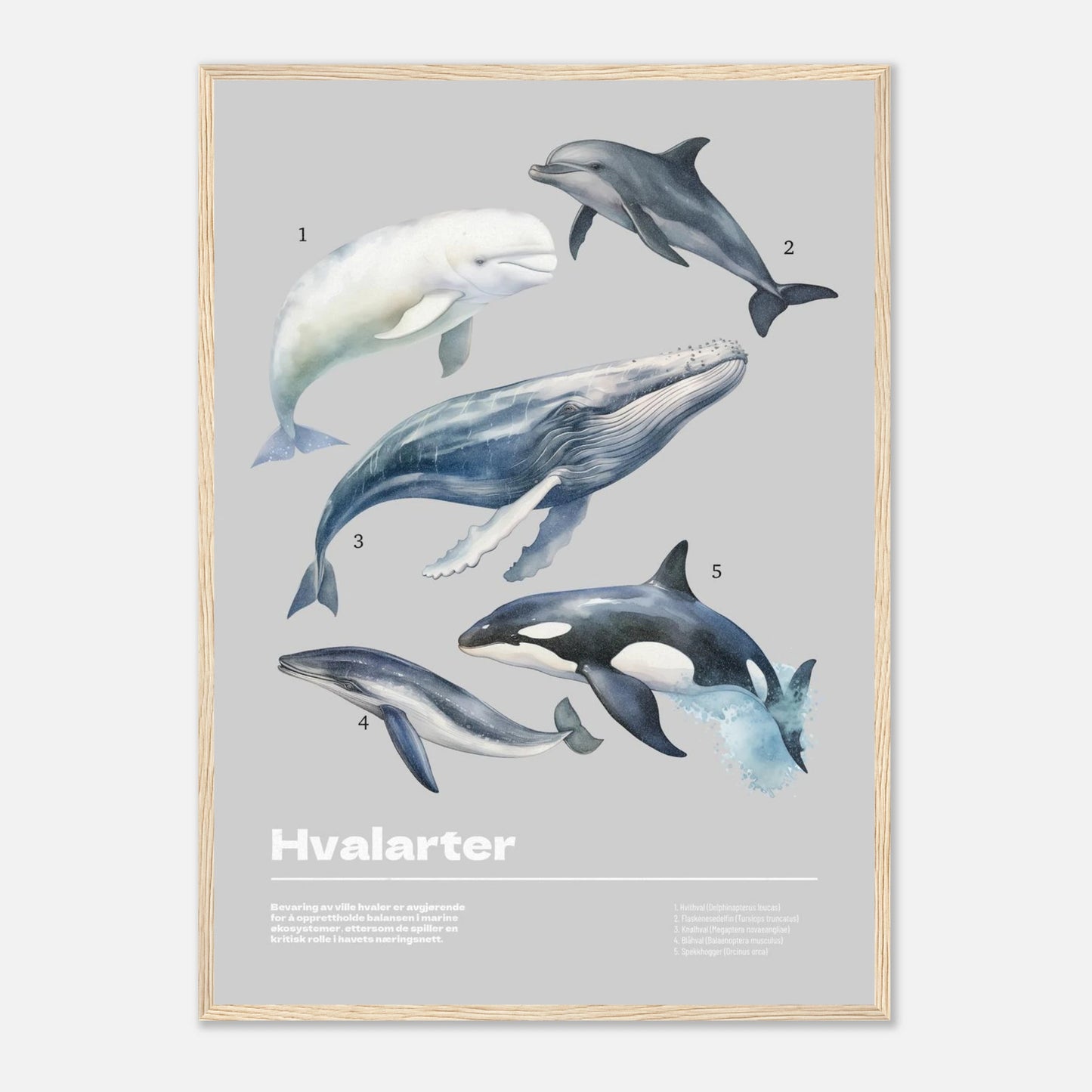 fe44e238-49ef-4a2f-a188-c35da29ae13f